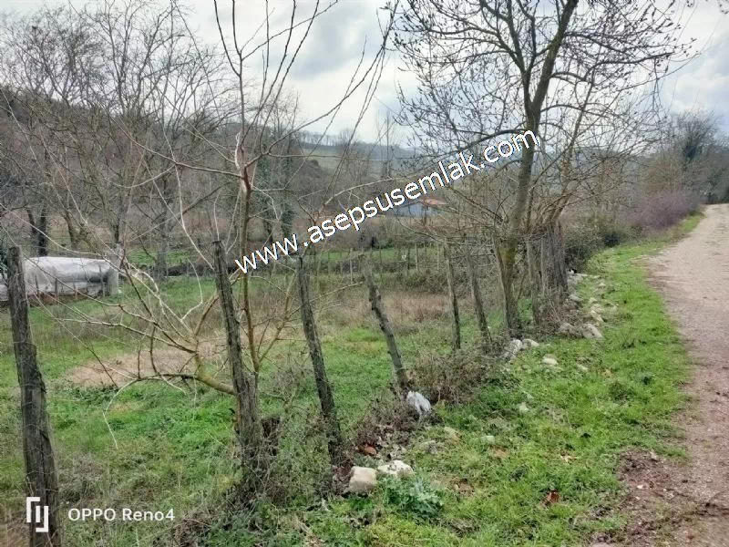 484 m2 Gönen'de Köy İçi İmarlı Arsa Dere Boyu Bağ Bahçe