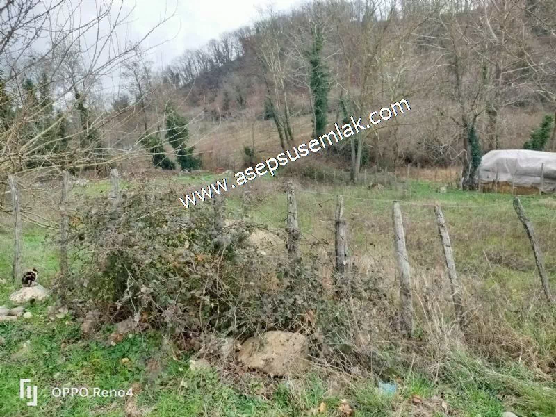 484 m2 Gönen'de Köy İçi İmarlı Arsa Dere Boyu Bağ Bahçe