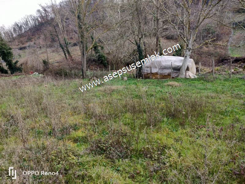 484 m2 Gönen'de Köy İçi İmarlı Arsa Dere Boyu Bağ Bahçe