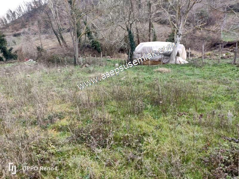 484 m2 Gönen'de Köy İçi İmarlı Arsa Dere Boyu Bağ Bahçe