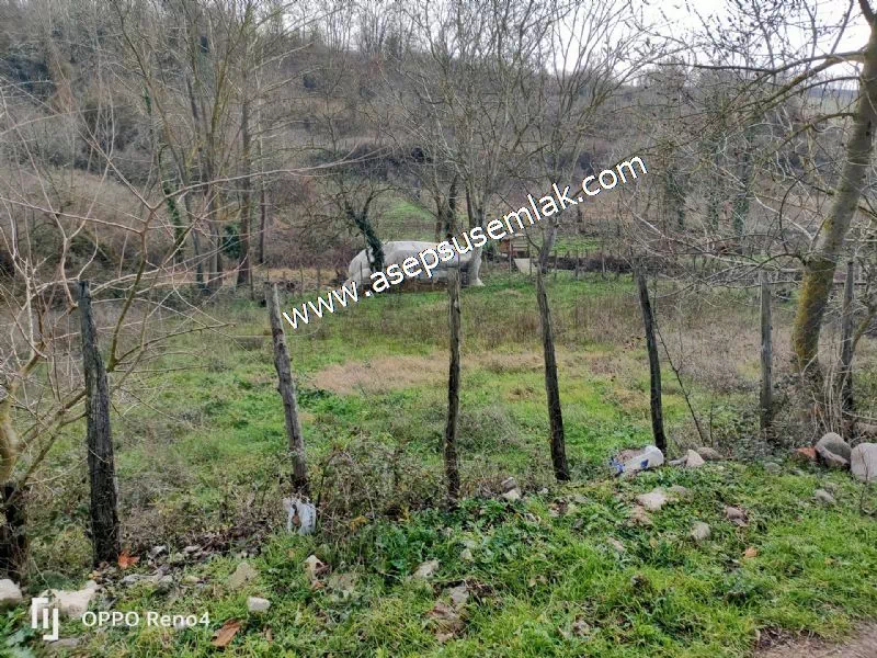 484 m2 Gönen'de Köy İçi İmarlı Arsa Dere Boyu Bağ Bahçe