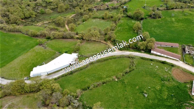 2.700 M2 Gönen'de Hobi Bahçesi, Tarla, Arsa, Köy Dibi Yola Cepheli