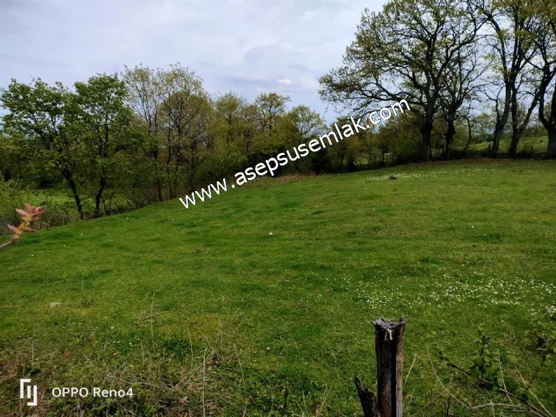 2.700 M2 Gönen'de Hobi Bahçesi, Tarla, Arsa, Köy Dibi Yola Cepheli