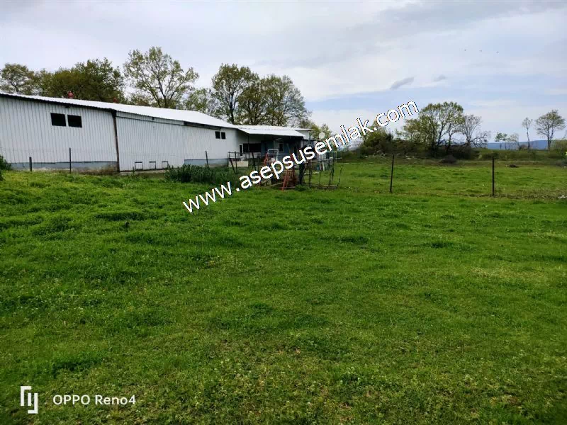 2.700 M2 Gönen'de Hobi Bahçesi, Tarla, Arsa, Köy Dibi Yola Cepheli