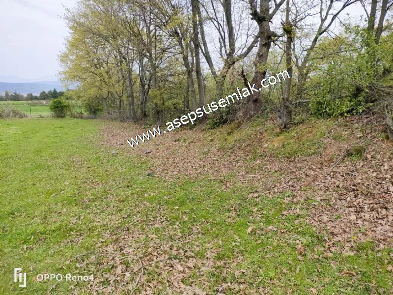 2.700 M2 Gönen'de Hobi Bahçesi, Tarla, Arsa, Köy Dibi Yola Cepheli