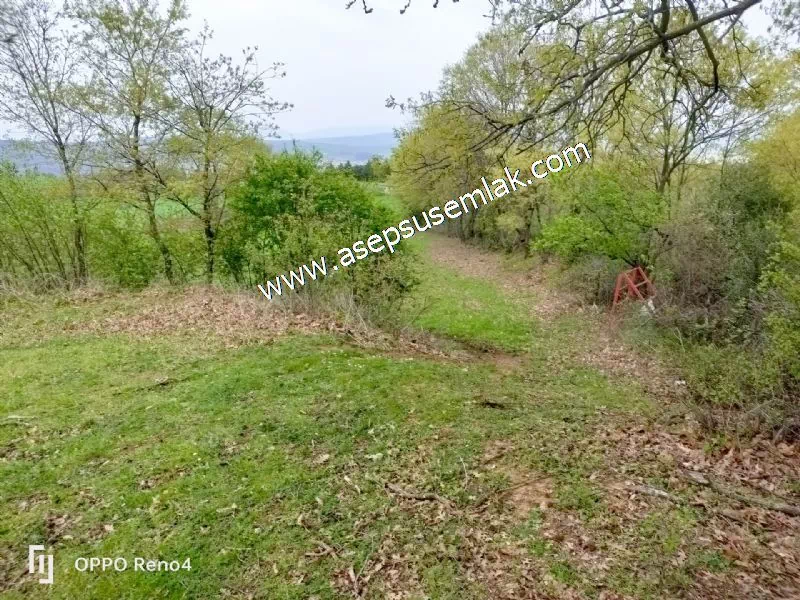 2.700 M2 Gönen'de Hobi Bahçesi, Tarla, Arsa, Köy Dibi Yola Cepheli