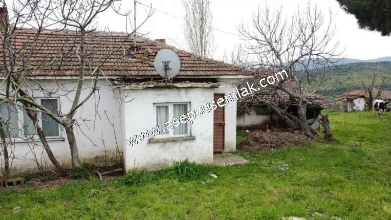 3.280 M2 Oturulabilir Müstakil Bahçeli Köy Evi, Dam, Samanlık