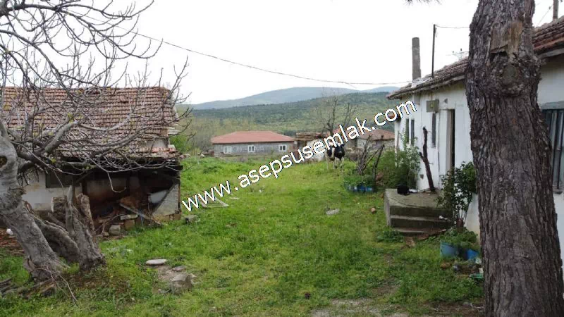3.280 M2 Oturulabilir Müstakil Bahçeli Köy Evi, Dam, Samanlık