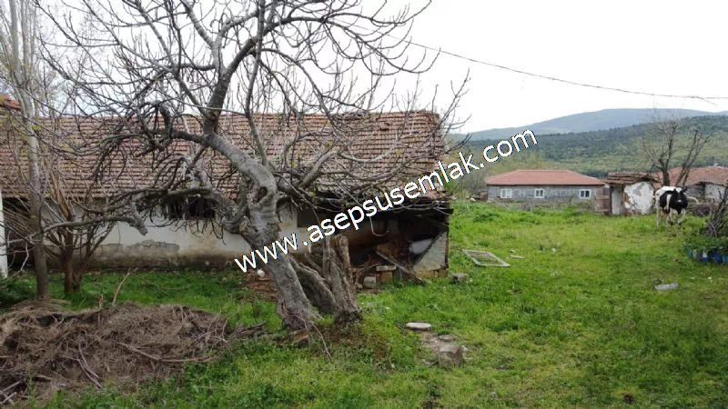 3.280 M2 Oturulabilir Müstakil Bahçeli Köy Evi, Dam, Samanlık