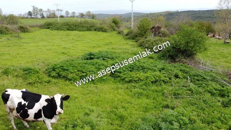 3.280 M2 Oturulabilir Müstakil Bahçeli Köy Evi, Dam, Samanlık