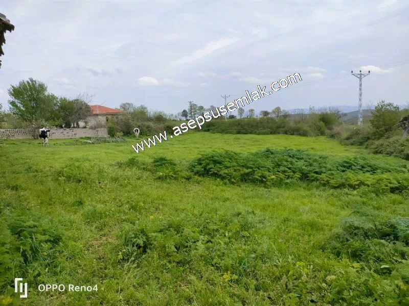 3.280 M2 Oturulabilir Müstakil Bahçeli Köy Evi, Dam, Samanlık