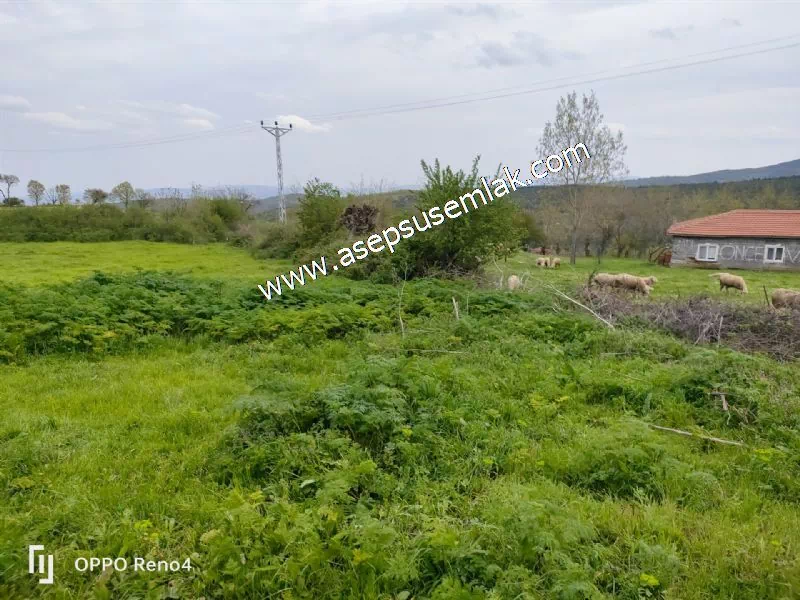 3.280 M2 Oturulabilir Müstakil Bahçeli Köy Evi, Dam, Samanlık