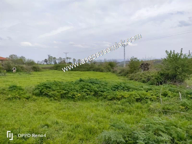 3.280 M2 Oturulabilir Müstakil Bahçeli Köy Evi, Dam, Samanlık