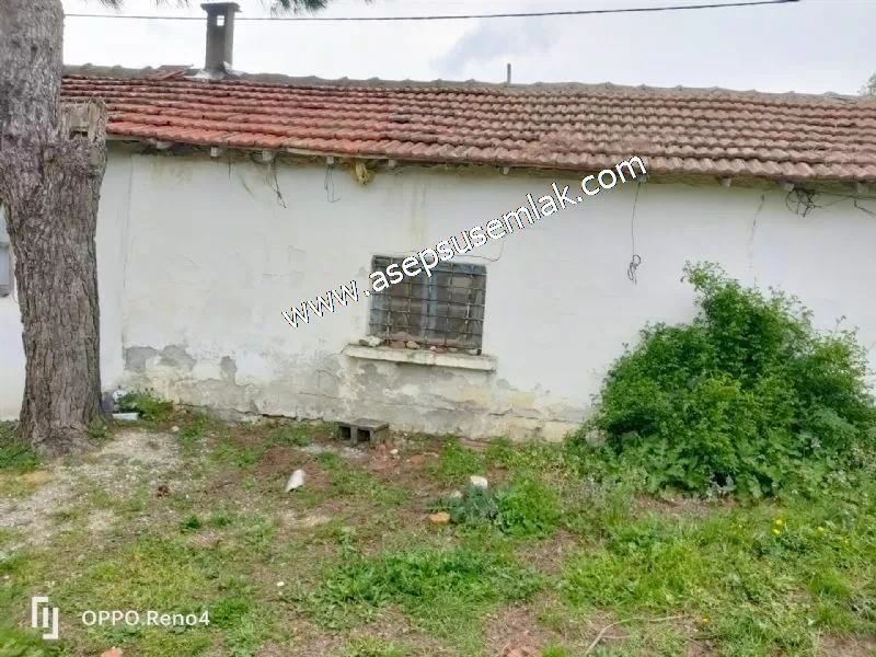 3.280 M2 Oturulabilir Müstakil Bahçeli Köy Evi, Dam, Samanlık