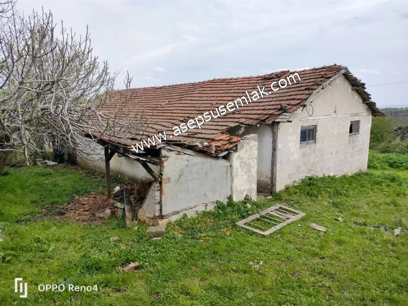 3.280 M2 Oturulabilir Müstakil Bahçeli Köy Evi, Dam, Samanlık