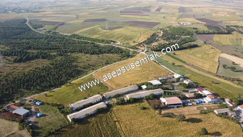 1.306 M2 Satılık Tavuk Çiftliği Her şeyi Hazır