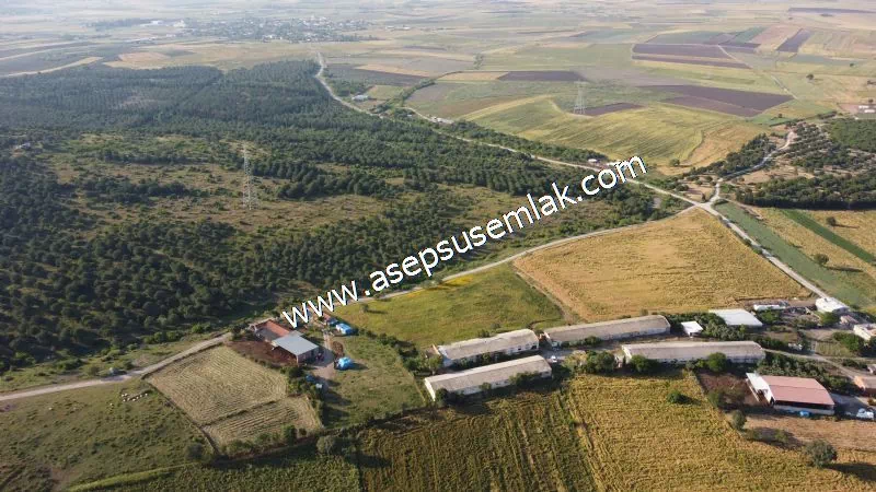 1.306 M2 Satılık Tavuk Çiftliği Her şeyi Hazır