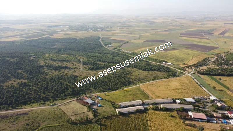 1.306 M2 Satılık Tavuk Çiftliği Her şeyi Hazır