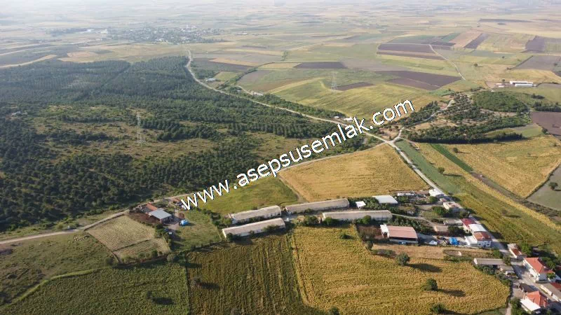 1.306 M2 Satılık Tavuk Çiftliği Her şeyi Hazır