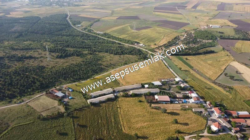 1.306 M2 Satılık Tavuk Çiftliği Her şeyi Hazır