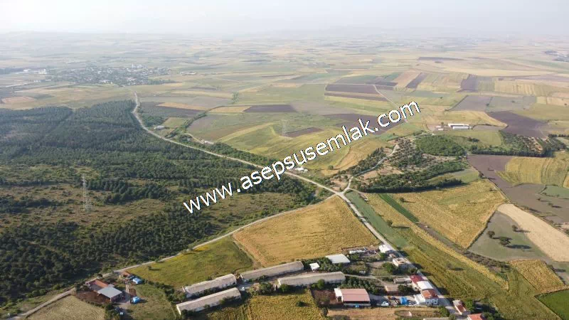 1.306 M2 Satılık Tavuk Çiftliği Her şeyi Hazır