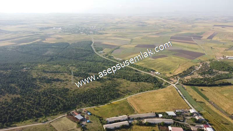 1.306 M2 Satılık Tavuk Çiftliği Her şeyi Hazır