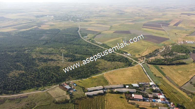1.306 M2 Satılık Tavuk Çiftliği Her şeyi Hazır