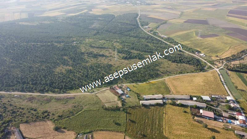 1.306 M2 Satılık Tavuk Çiftliği Her şeyi Hazır