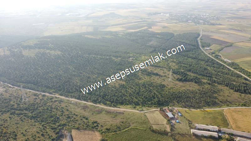 1.306 M2 Satılık Tavuk Çiftliği Her şeyi Hazır