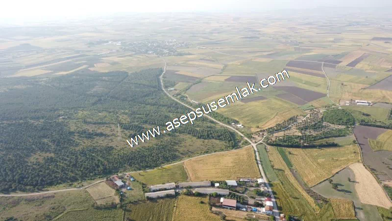 1.306 M2 Satılık Tavuk Çiftliği Her şeyi Hazır