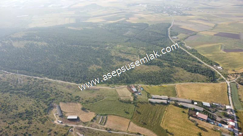 1.306 M2 Satılık Tavuk Çiftliği Her şeyi Hazır