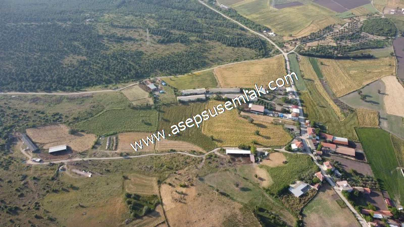 1.306 M2 Satılık Tavuk Çiftliği Her şeyi Hazır