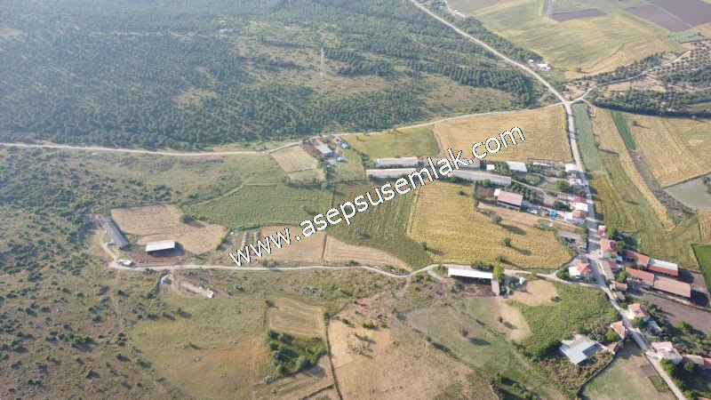 1.306 M2 Satılık Tavuk Çiftliği Her şeyi Hazır