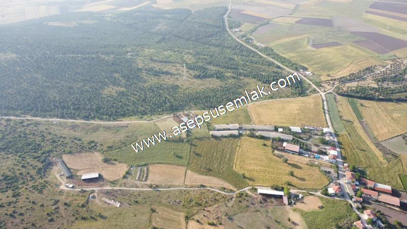 1.306 M2 Satılık Tavuk Çiftliği Her şeyi Hazır