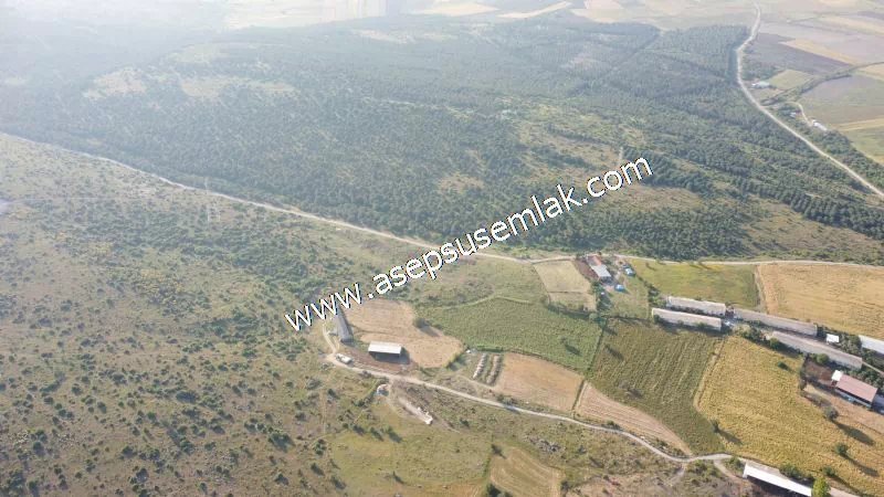 1.306 M2 Satılık Tavuk Çiftliği Her şeyi Hazır