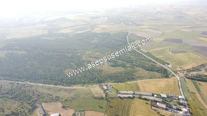 1.306 M2 Satılık Tavuk Çiftliği Her şeyi Hazır