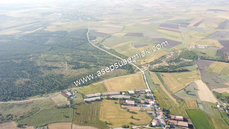 1.306 M2 Satılık Tavuk Çiftliği Her şeyi Hazır