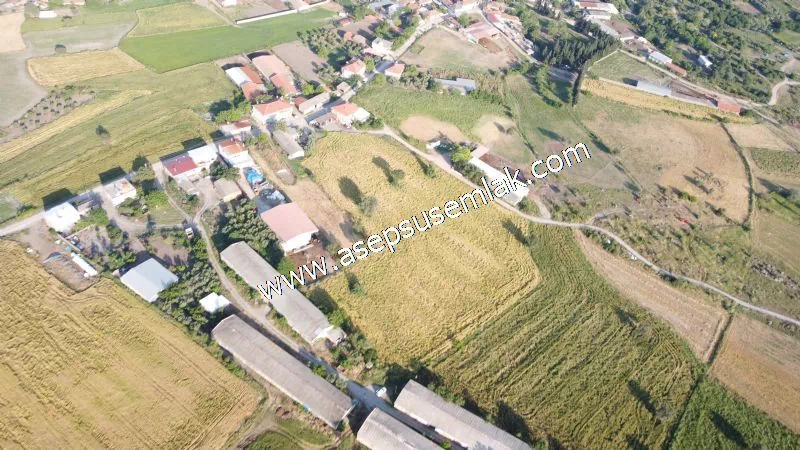1.306 M2 Satılık Tavuk Çiftliği Her şeyi Hazır