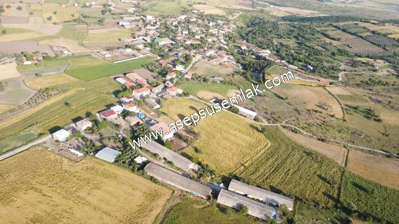 1.306 M2 Satılık Tavuk Çiftliği Her şeyi Hazır
