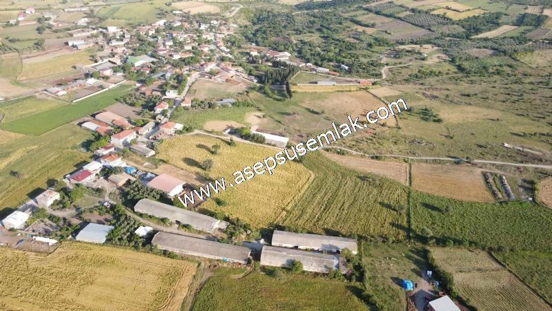 1.306 M2 Satılık Tavuk Çiftliği Her şeyi Hazır