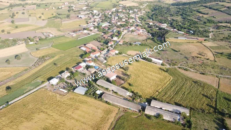 1.306 M2 Satılık Tavuk Çiftliği Her şeyi Hazır