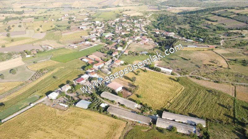 1.306 M2 Satılık Tavuk Çiftliği Her şeyi Hazır