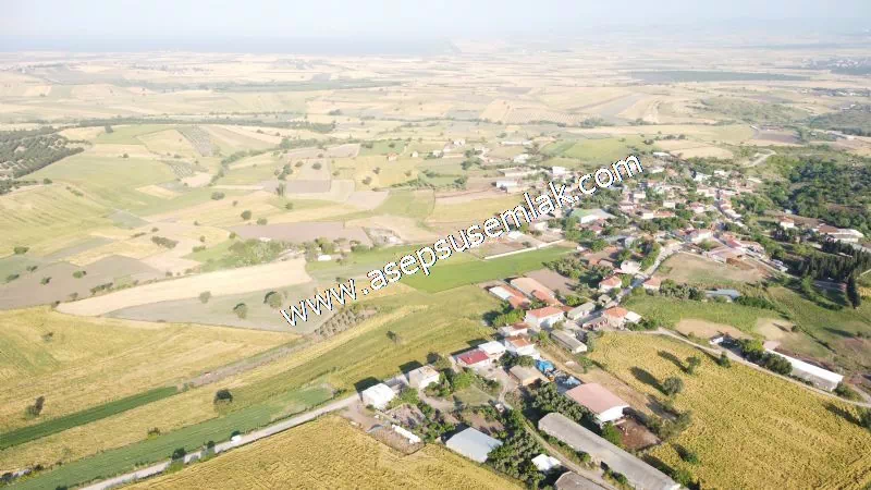 1.306 M2 Satılık Tavuk Çiftliği Her şeyi Hazır