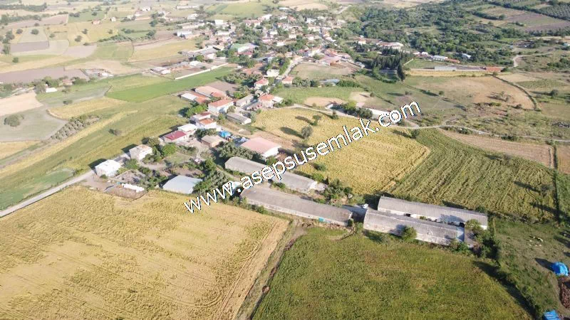 1.306 M2 Satılık Tavuk Çiftliği Her şeyi Hazır