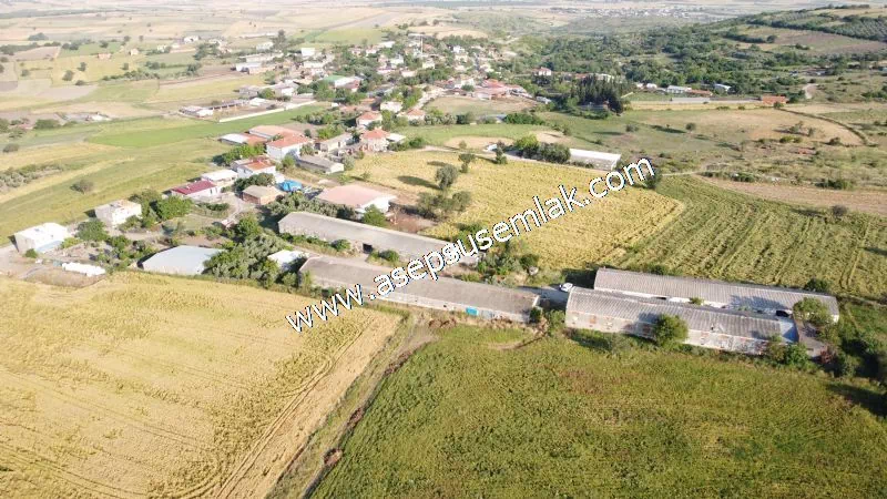 1.306 M2 Satılık Tavuk Çiftliği Her şeyi Hazır