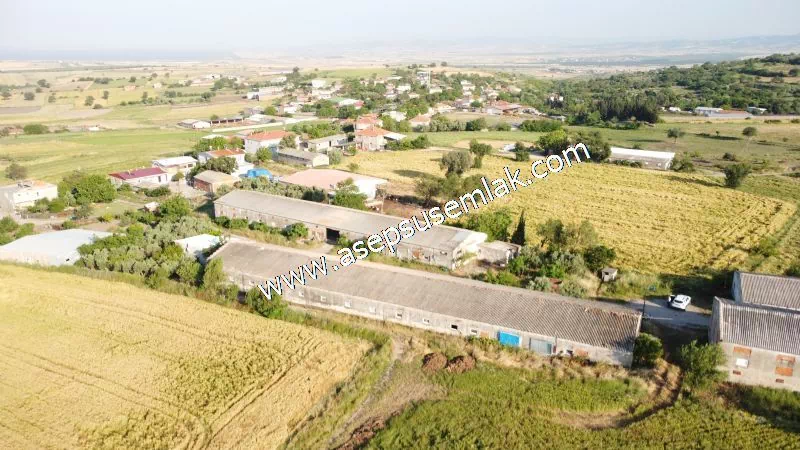 1.306 M2 Satılık Tavuk Çiftliği Her şeyi Hazır