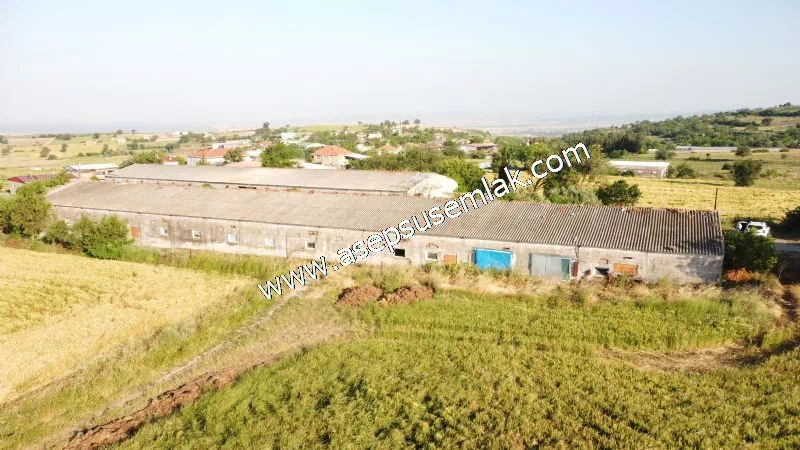 1.306 M2 Satılık Tavuk Çiftliği Her şeyi Hazır