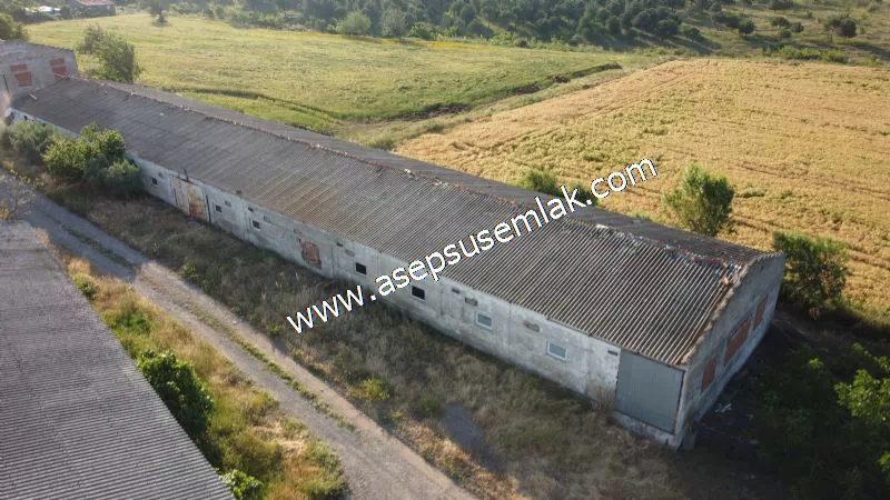 1.306 M2 Satılık Tavuk Çiftliği Her şeyi Hazır