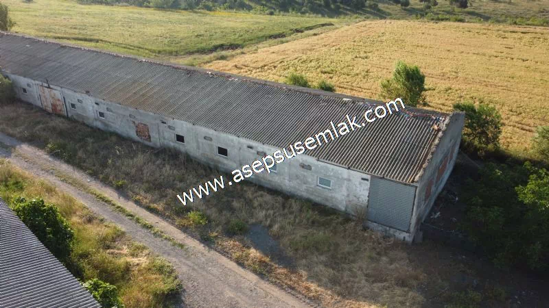 1.306 M2 Satılık Tavuk Çiftliği Her şeyi Hazır