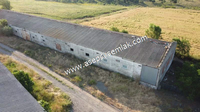 1.306 M2 Satılık Tavuk Çiftliği Her şeyi Hazır